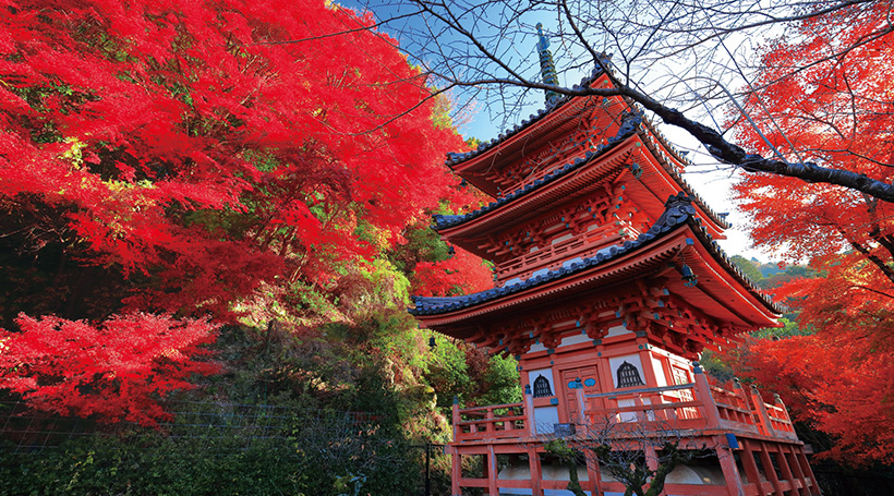 三室戸寺