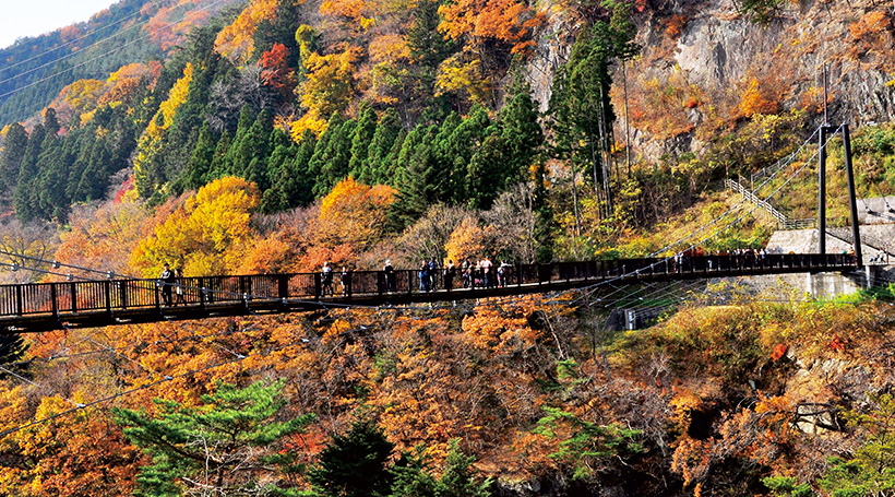 鬼怒楯岩大吊橋