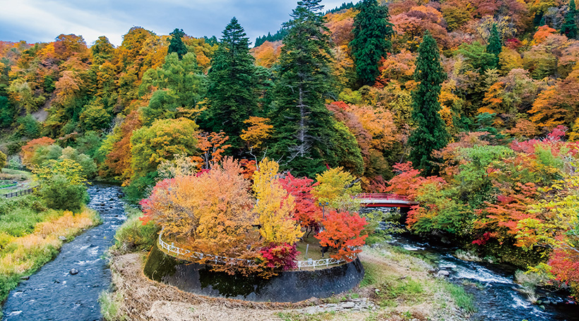 中野もみじ山